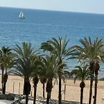 Santa Rosa Palmyra *