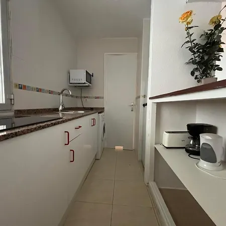Santa Rosa Palmyra Salou