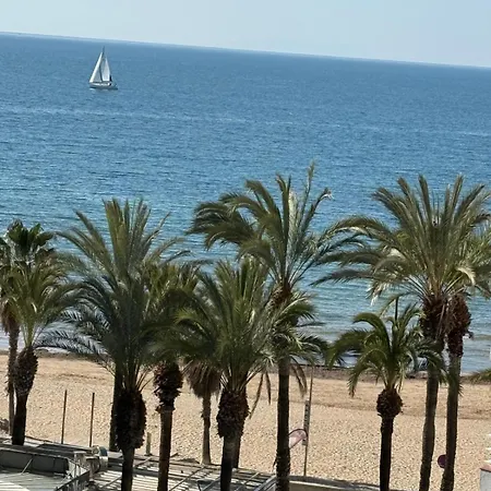 Santa Rosa Palmyra *