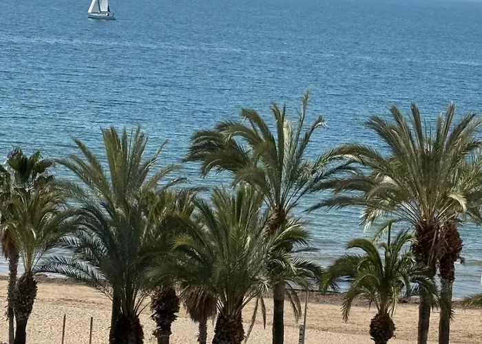 Santa Rosa Palmyra *